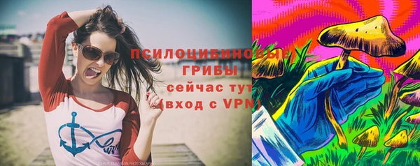 spice Алексин