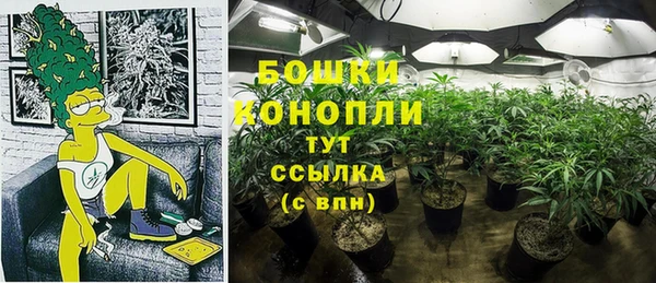 spice Алексин
